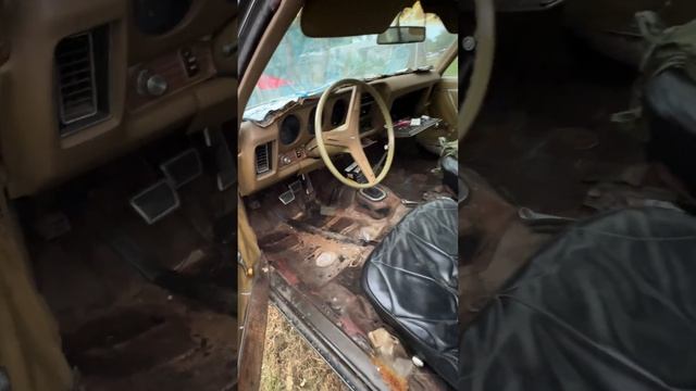 1969 Pontiac GTO смотреть онлайн