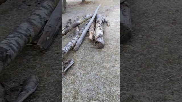 Заготовка дров. 💪💪💪🪓🪓🪓 смотреть онлайн