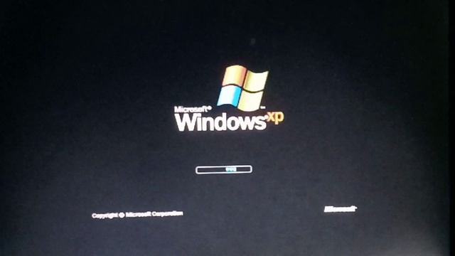 Windows XP startup смотреть онлайн