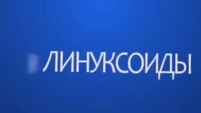 Пришло время переустанавливать Windows наоборот смотреть онлайн