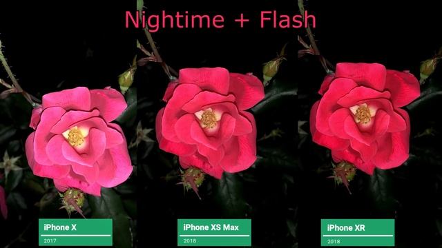 iPhone X vs. Xs Max vs. Xr Camera Comparison Test (S2-E6) смотреть онлайн