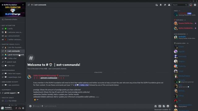 SUPA Foundation Discord Server Revamp Tour смотреть онлайн
