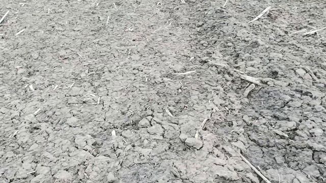 Перше закриття вологи, тепер не чекаю поки висохне смотреть онлайн