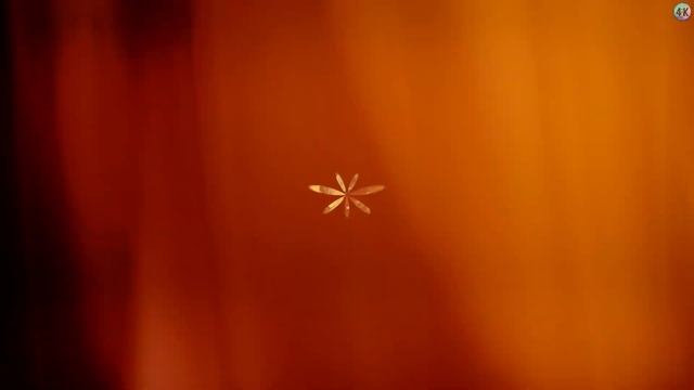 SCREENSAVER 4K | Nature | Windows 98 Screensaver смотреть онлайн