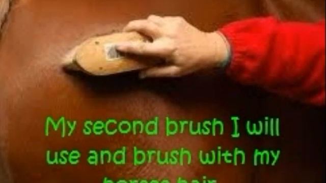 How to brush a horse.wmv смотреть онлайн