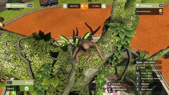Zoo Tycoon Ultimate Animal Collection - Challenge - Rocky Mountain Zoo - Some lazy sloths! (S1 E3) смотреть онлайн
