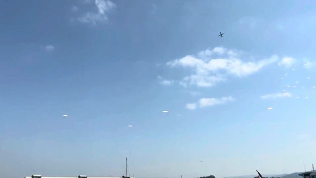 Отдыхаем в Monterey 🇺🇸 смотреть онлайн