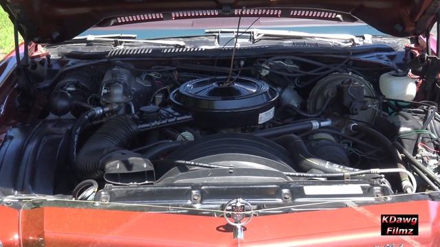 1976 Monte Carlo Survivor. смотреть онлайн