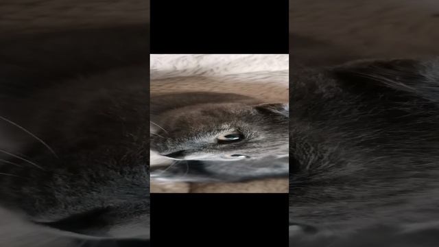 Дымулечек😘