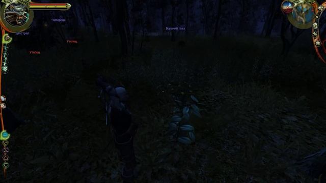 The Witcher Chapter 3 part 2 смотреть онлайн