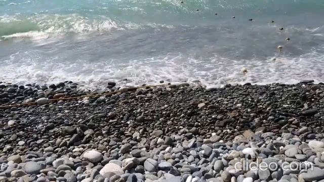 Большое путешествие Тольятти-Адлер-Красная Поляна-Сухум. смотреть онлайн