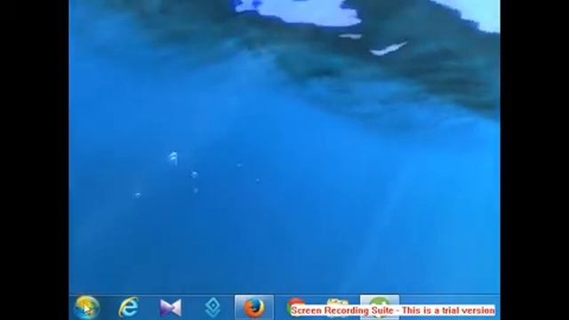 Live Wallpaper for Windows смотреть онлайн