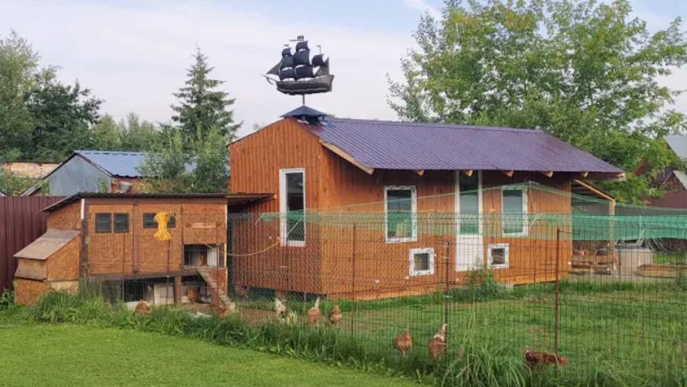 Курятник с АСУ "УМНЫЙ ДОМ". Сборка курятника под ключ и настройка для автономной работы на 30 дней! смотреть онлайн