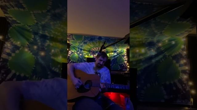 “ Cars Hiss By My Window” Doors cover live acoustic guitar with looper pedal. #blues смотреть онлайн