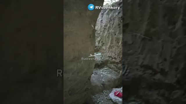 ⚡️СВО 18+ Морпехи уничтожили оккупантов и захватили полевой штаб ВСУ с позиций смотреть онлайн