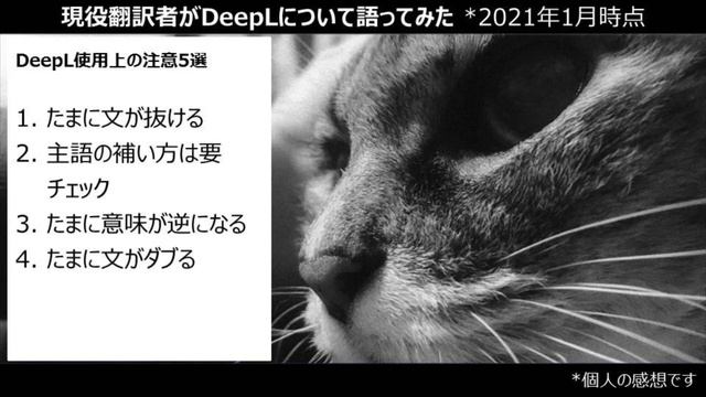 現役翻訳者がDeepLについて語ってみた　使用上の注意5選　自動翻訳　AI　翻訳者不要説　Google翻訳よりすごい　初心者向け　必見　場合によっては危険！？ смотреть онлайн