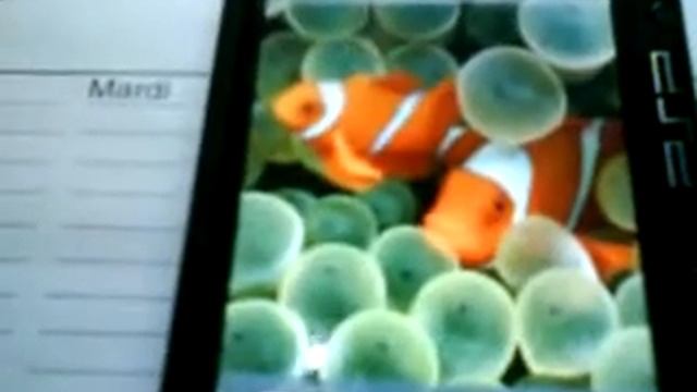 Un IPHONE et WINDOWS vista sur une PSP смотреть онлайн