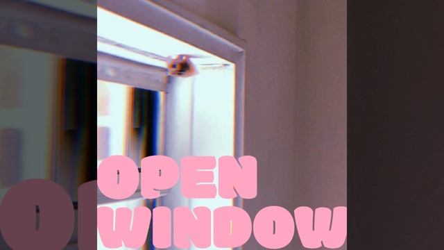 Open Window! смотреть онлайн