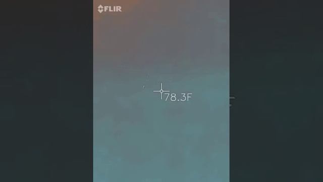 2/23/19 Getting frequencies while studying at my desk in front of window facing the west смотреть онлайн