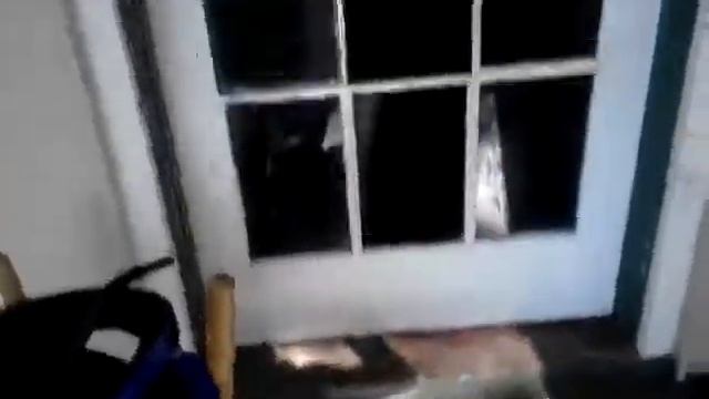 Asshole hits his head off glass window смотреть онлайн