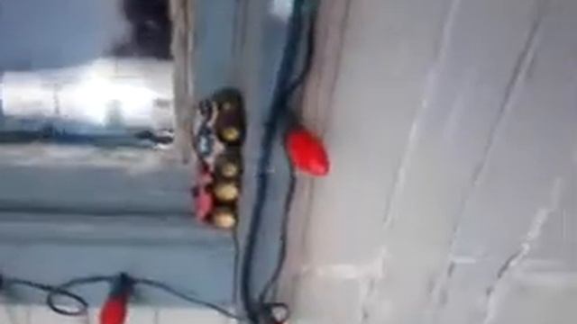 Cat trys to get through window смотреть онлайн