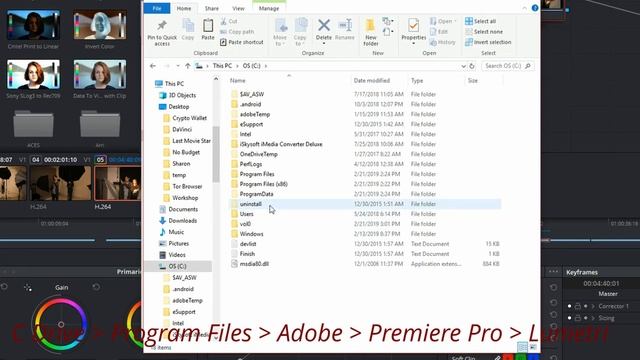 Moving LUTs From Premiere Pro CC to DaVinci Resolve 15 смотреть онлайн