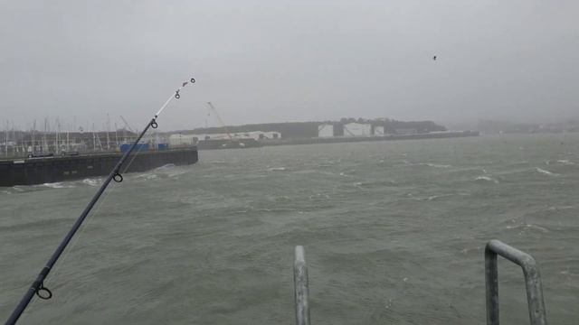 Fishing STORM CIARA in Plymouth, One of my Hardest Sessions - Sea Fishing Adventures #5 смотреть онлайн
