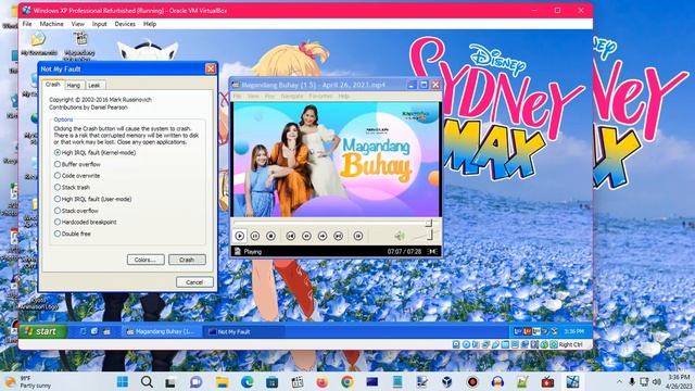 Windows XP BSOD 1036 (2023) смотреть онлайн