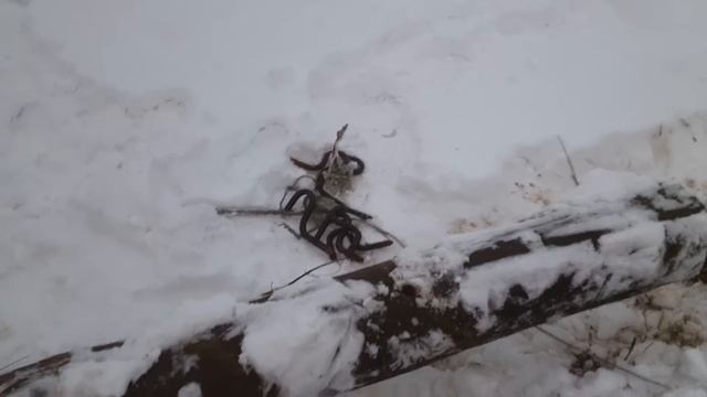 Перевозим гостевой Дом. Начало смотреть онлайн