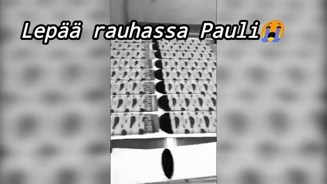 R.I.P Paulin Pelivideot (muisto video) смотреть онлайн