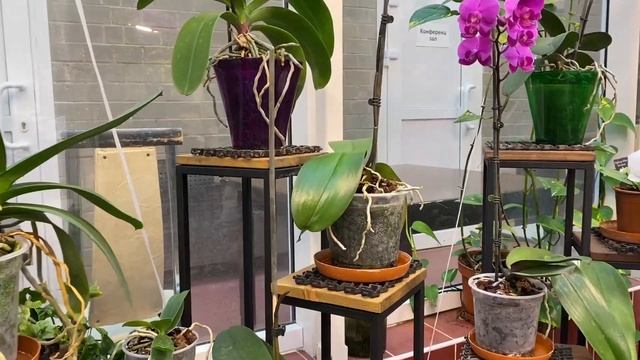 ВЛОГ С РЕБОРНОМ ЛУИ | ГУЛЯЕМ С РЕБОРНОМ В ПАРКЕ #reborndoll #rebornbaby #куклареборн