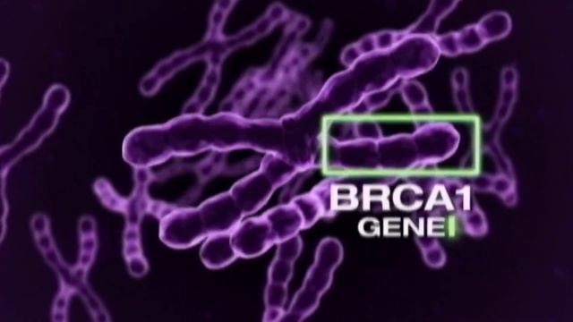 Buddy Check 10: Genetic testing gives window into cancer risk смотреть онлайн
