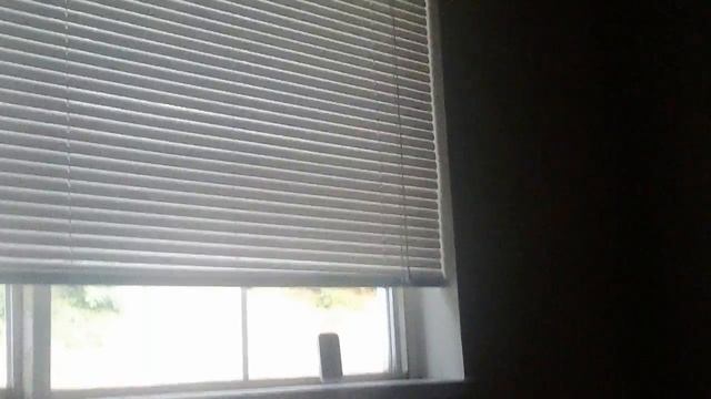 #RATCHET #WELFARECREW SCREAMING & #RHIANNA #PEEPING @MYWINDOW #HARASSMENT 72416@753pm смотреть онлайн