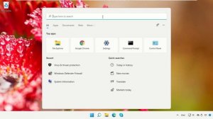 0xc0000005 Error Windows 11