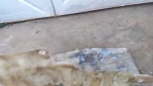 Щиток /защита приводных ремней из стекловолокна на ланос.