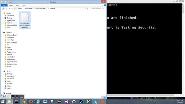 Encrypted File System Demo 12/10 смотреть онлайн
