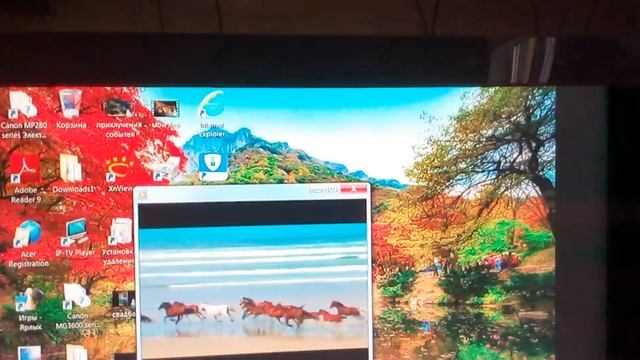пройтротель Windows Media смотреть онлайн