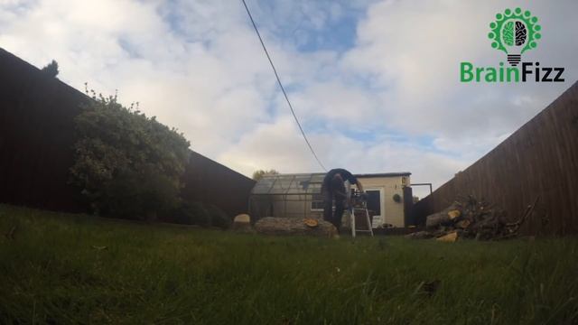 Cutting down the Apple Tree - a little little different смотреть онлайн