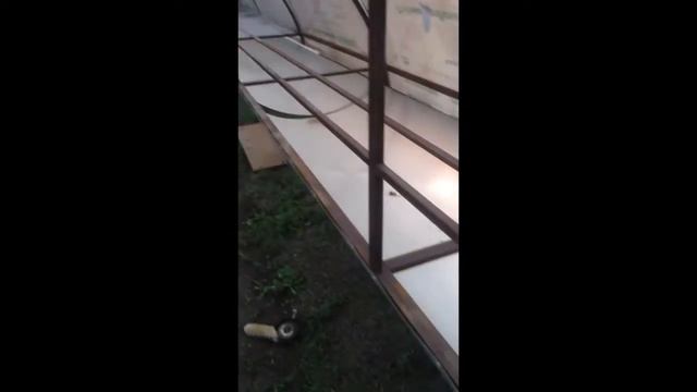 Кролики в теплице ! Начало смотреть онлайн