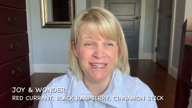 Scentsy Holiday Haul смотреть онлайн