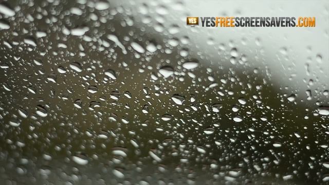 Rain Screensaver — Download Rain Screensaver for Windows 7 смотреть онлайн
