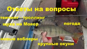 Ответы на вопросы. Троллинг-твичинг. Щука на Мовер. Новые воблеры. Погода. Крупные окуни.