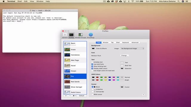 1. Accessing the terminal and changing preferences - Learn Unix смотреть онлайн