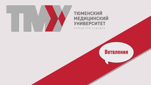 Лекция 3.1 Ветвления в python смотреть онлайн