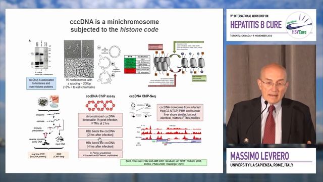 Virological Approach - CCC – DNA inhibition | Massimo Levrero, MD смотреть онлайн