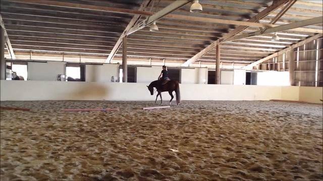 Pretty Zippo Queen :Lucy" смотреть онлайн