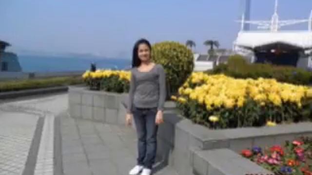 sjit windows media player.wmv смотреть онлайн
