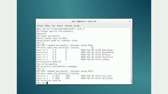 comprobacion FTP Debian En Windows XP смотреть онлайн