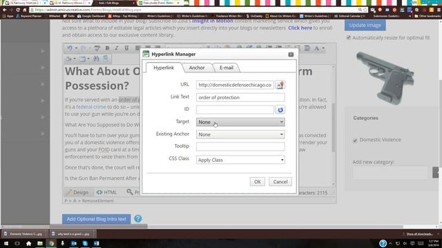 How to Make a Link Open in a New Page if Your Site is Hosted by Zola Creative Media смотреть онлайн