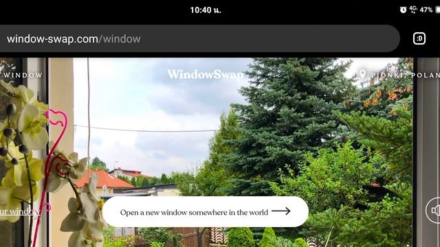windowswap смотреть онлайн